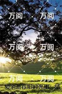 赵启泽温良玉