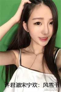 许君澈宋宁欢