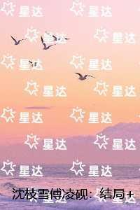 沈枝雪傅凌砚